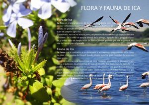 Catalogo ofertas Ica Marzo 2019