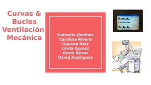 Cartilla Curvas Y Bucles