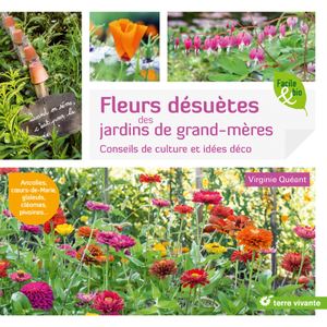 Fleurs désuètes des jardins de grand-mère