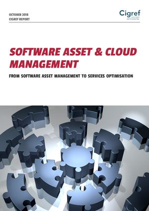 SAM : From software asset management to services optimisation