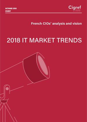 French CIOs share their analysis of the main trends in the IT 2018 market