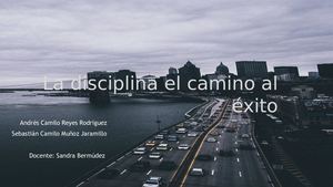 La disciplina camino al exito