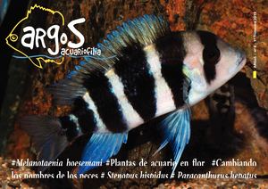 Argos Nº8 2019 Marzo