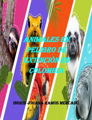 Los Animales En Peligro De Extinciòn En Colombia
