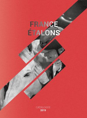 Catalogue 2019
