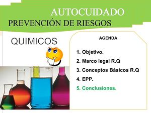Riesgo Quimico Conceptos 1