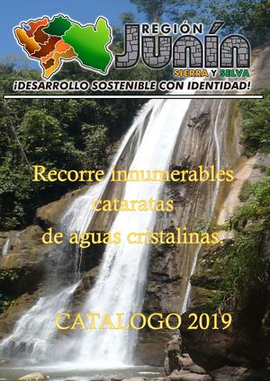 Junin Luis Contreras R