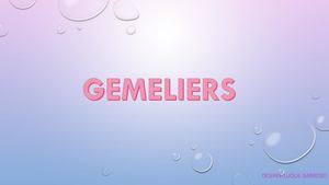 Gemeliers 1 (1)