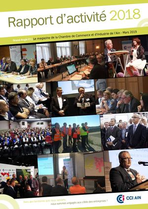 Rapport d'activité 2018 de la CCI de l'Ain