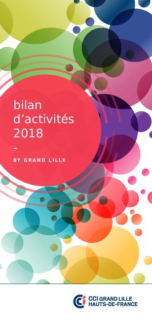Bilan D'activités 2018 Grand Lille 10x21 Planche Basse Def