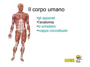 Il Corpo Umano
