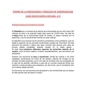 Etapas De La Prehistoria Y Proceso De Hominizacion