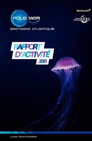 Pôle Mer Bretagne Atlantique - Rapport d'activité 2018