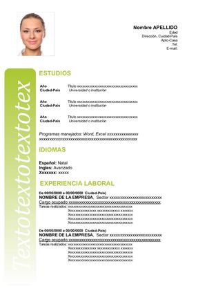 19 Curriculum Vitae Tradicional Verde