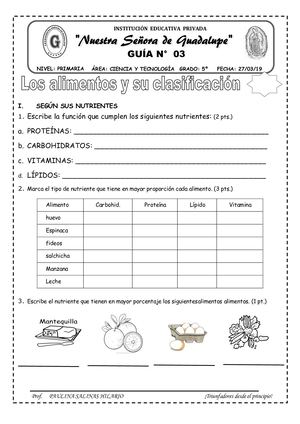 LOS ALIMENTOS Y SU CLASIFICACIÓN