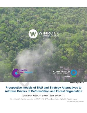 Draft 1 Guyana Redd+ Strategy 28feb19