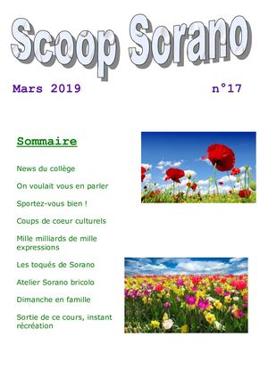 Scoop Sorano 17