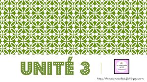 Unité 3  - La description physique (I)