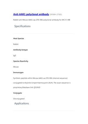 Anti AAK1 Polyclonal Antibody