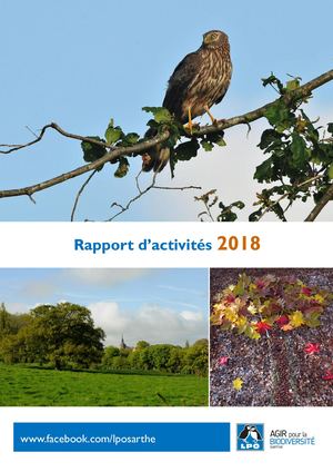 Rapport d'activités 2018