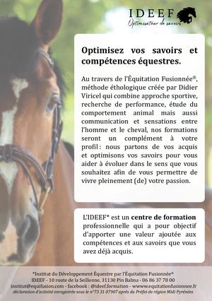 flyer présentation Equitation Fusionnée - IDEEF