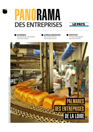 Panorama des Entreprises - 42