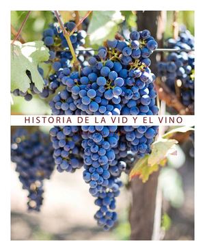 Linea Del Tiempo Del Vino