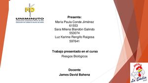 Presentacion Riesgos Biologicos Final Definitivo F Pptx