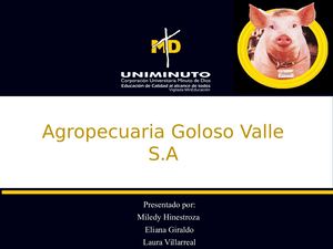 PETAR- AGROPECUARIA GOLOSO VALLE S.A