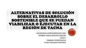 Alternativas De Solución Sobre El Desarrollo Sostenible Tacna