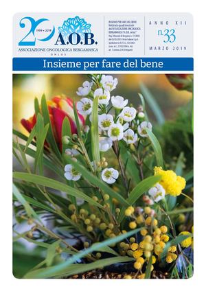 N.33 - MARZO 2019