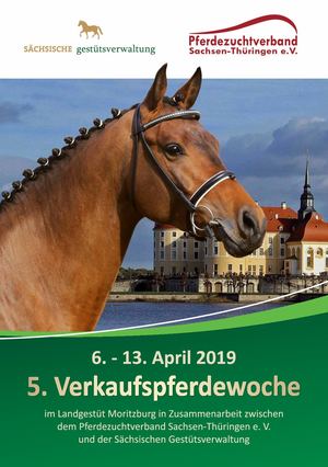 Katalog Verkaufspferde 2019