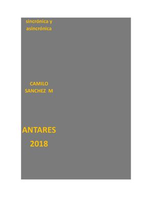 asicronica y sincronica