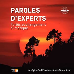 Changement Climatique