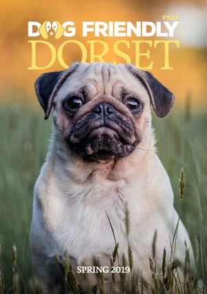 Dog Friendly Dorset - Spring 2019