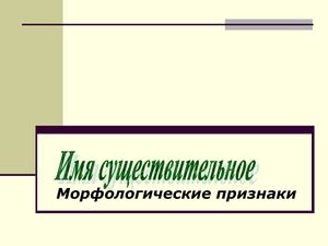 Признаки имени существительного