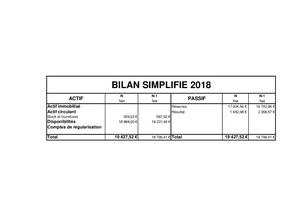 Bilan Simplifié 2018