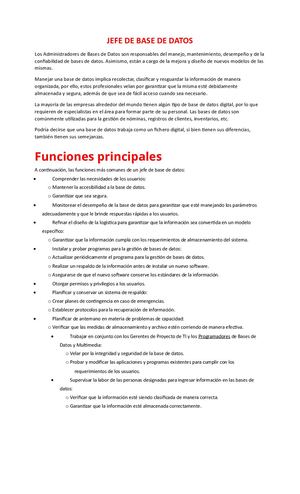 Jefe De Base De Datos