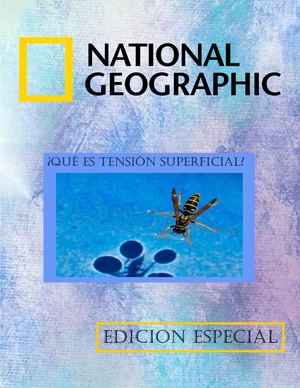 Tensión Superficial