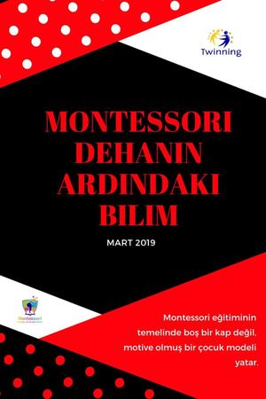 Merged 2019 04 02 20 57 42