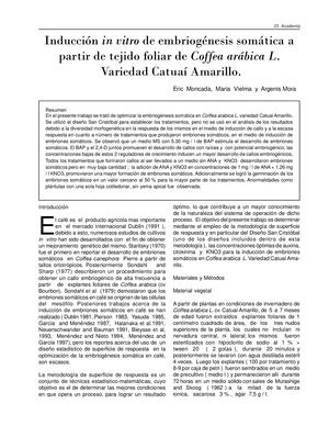 Embriogénesis Somática De Café Arábico 05 02 16