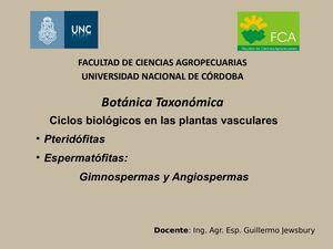 Ciclos biológicos en las plantas superiores