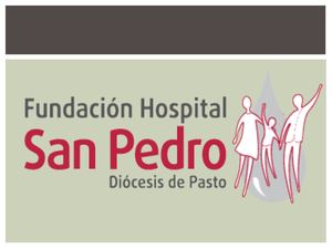 Manual hospital san pedro