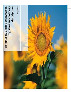 Ejemplos De Diarios Pedagógicos