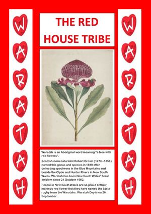House Tribe Posters - WARATAH