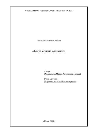Научно исследовательский проект (2)