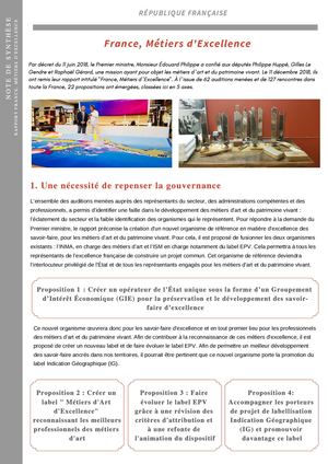 Synthèse Rapport France, Métiers D'excellence