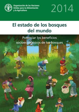 Libro De Importancia De Los Bosques