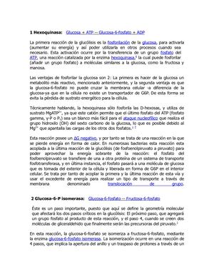 Visión De La Glucolisis