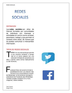 Definicion Redes Lozano Vivas